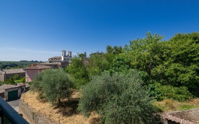 21_DSC_4934_olive-grove-view